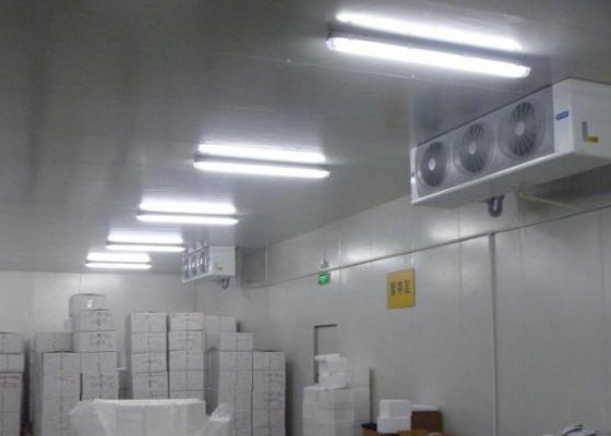 血漿蛋白低溫倉儲造價 血漿蛋白低溫倉儲造價