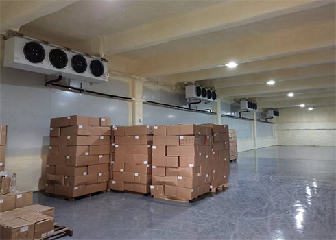  建造一間醫(yī)藥冷藏庫(kù)所需要的費(fèi)用是多少？