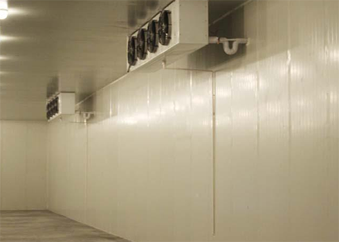  10000噸大型陰涼物流冷藏庫造價費用是多少錢？