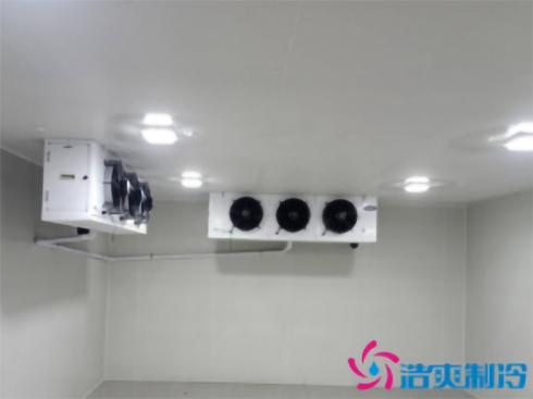  建造一個(gè)疫苗冷庫(kù)需要多少錢？