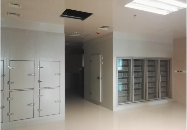 超低溫醫(yī)藥冷庫(kù)建造