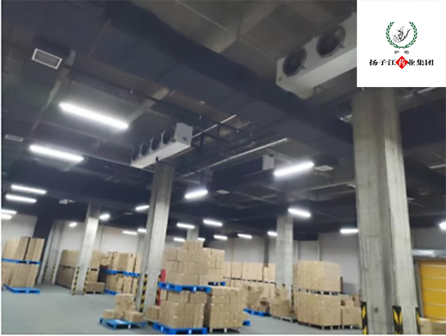 揚子江藥業(yè)集團醫(yī)藥冷庫設(shè)計安裝工程案例