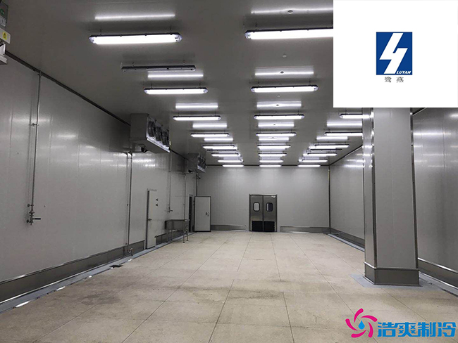 福建鷺燕藥業(yè)2100立方醫(yī)藥物流低溫冷藏庫新工程案例 福建鷺燕藥業(yè)2100立方醫(yī)藥物流低溫冷藏庫新工程案例