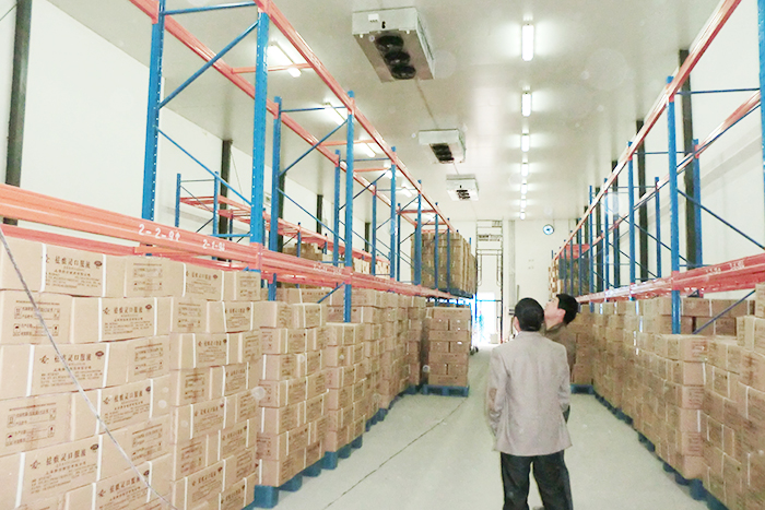 北京順義區(qū)10000立方米醫(yī)藥冷庫(kù)建造工程 北京順義區(qū)10000立方米醫(yī)藥冷庫(kù)建造工程