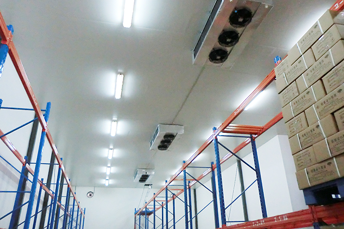 北京順義區(qū)10000立方米醫(yī)藥冷庫(kù)建造工程 北京順義區(qū)10000立方米醫(yī)藥冷庫(kù)建造工程