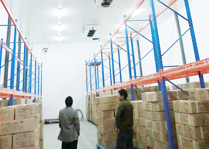 北京順義區(qū)10000立方米醫(yī)藥冷庫(kù)建造工程 北京順義區(qū)10000立方米醫(yī)藥冷庫(kù)建造工程