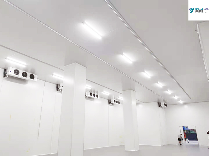 成都威斯克(新冠疫苗車間)220m3生物醫(yī)藥疫苗冷藏庫建造 成都威斯克(新冠疫苗車間)220m3生物醫(yī)藥疫苗冷藏庫建造