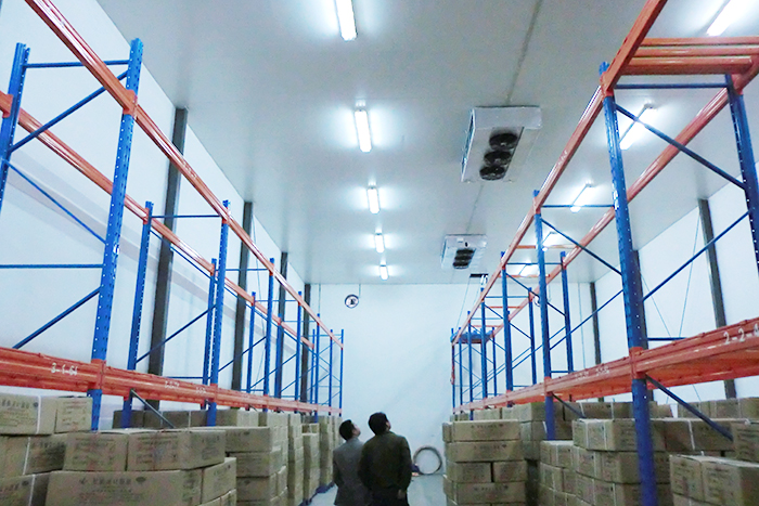  藥企集團(tuán)建造9000立方米生物疫苗冷庫(kù)造價(jià)多少錢？