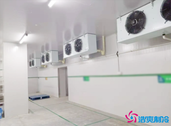 成都1100立方米生物所狂犬病疫苗冷庫(kù)建造工程 成都1100立方米生物所狂犬病疫苗冷庫(kù)建造工程