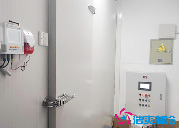 江蘇建造17000m3醫(yī)藥自動化立體冷庫設(shè)計方案