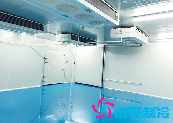  藥品低溫倉庫冷庫建造標(biāo)準(zhǔn),藥房冷藏庫安裝溫度要求