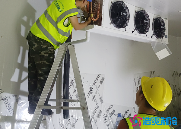 全自動(dòng)化醫(yī)療試劑冷庫建造成本及高度要求 全自動(dòng)化醫(yī)療試劑冷庫建造成本及高度要求