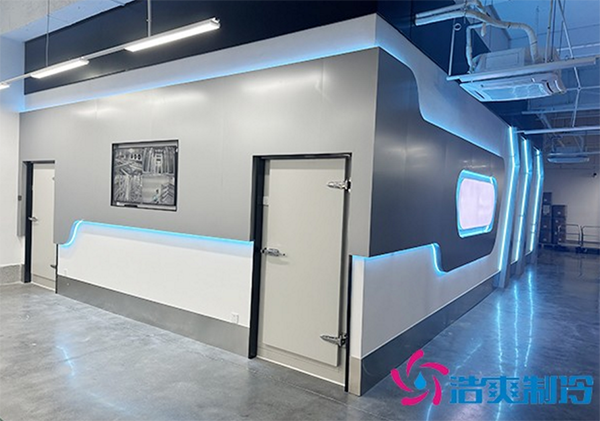  社區(qū)衛(wèi)生中心全自動化醫(yī)藥冷庫造價多少錢？