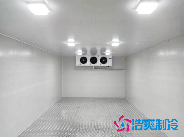  全自動化真菌冷凍庫（醫(yī)藥冷庫）建造設(shè)計方案