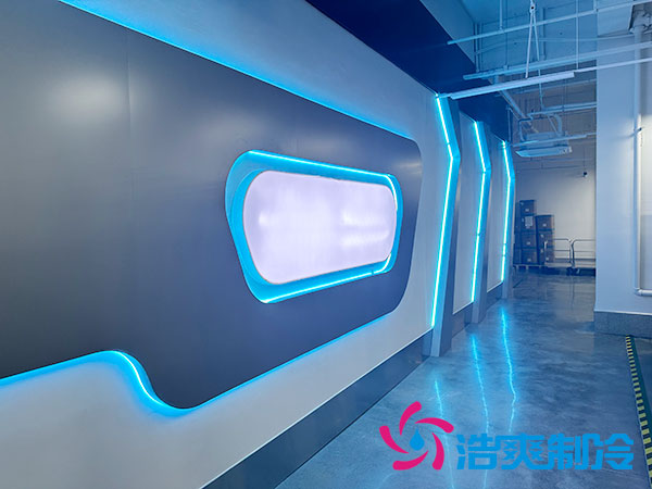 湖南大型智能全自動化醫(yī)藥冷庫建造方案 湖南大型智能全自動化醫(yī)藥冷庫建造方案