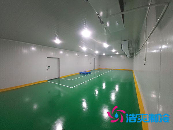 醫(yī)藥化工制冷工廠建造一個藥品冷庫要多少錢？-浩爽制冷