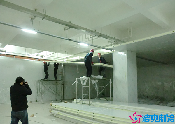  懷化疫苗冷藏庫設(shè)計安裝gsp標(biāo)準(zhǔn)