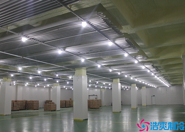  西昌大型醫(yī)藥冷庫工程設(shè)計(jì)安裝標(biāo)準(zhǔn)