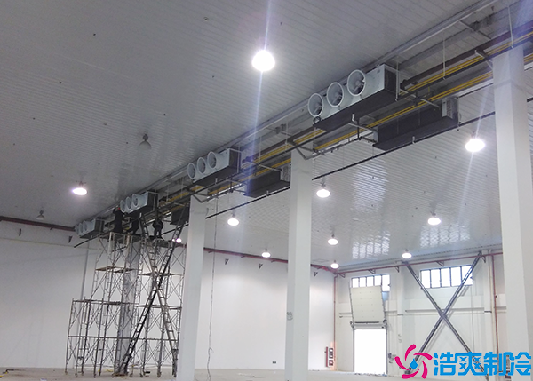  烏魯木齊血漿冷庫設(shè)計(jì)建造