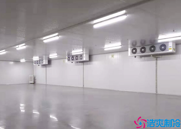  醫(yī)藥冷庫(kù)設(shè)計(jì)規(guī)范方案