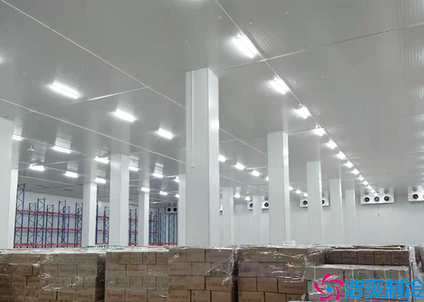  醫(yī)藥冷庫的設(shè)計(jì)與安裝