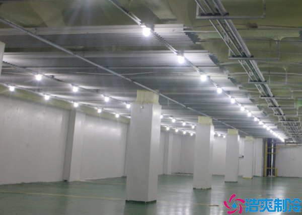  江西醫(yī)藥冷凍庫(kù)工程設(shè)計(jì)施工方案