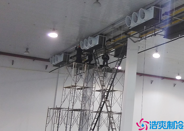  醫(yī)療冷庫建設(shè)