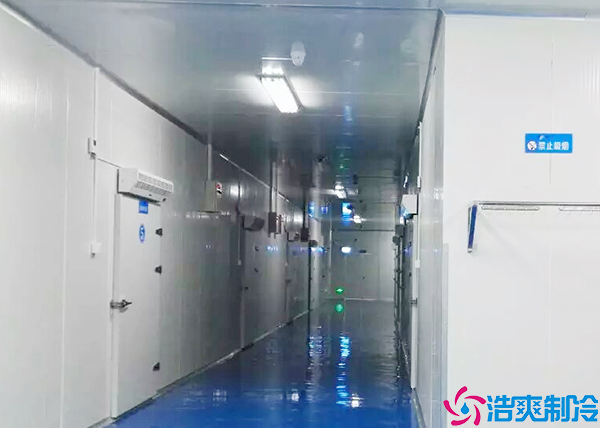 醫(yī)藥冷凍庫(kù)