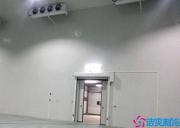 醫(yī)療冷庫(kù)