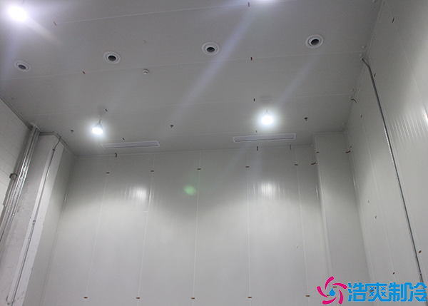 大型醫(yī)藥冷庫施工