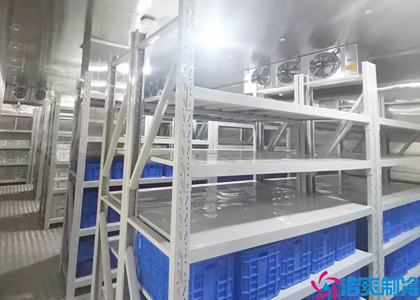 醫(yī)療冷庫(kù)