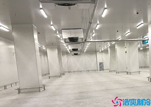  常德醫(yī)藥冷凍庫建造項目