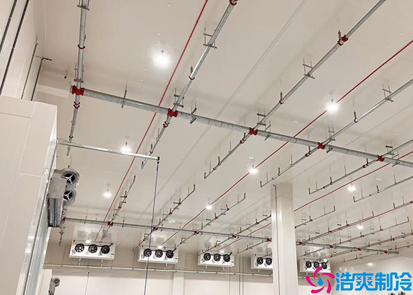 醫(yī)藥冷庫(kù)