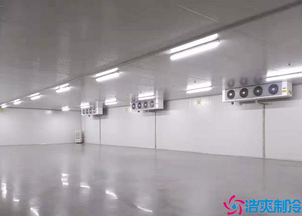 醫(yī)藥冷藏庫