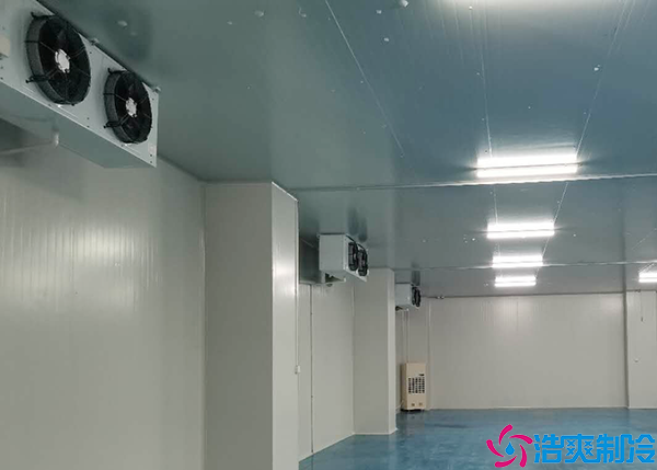  益陽(yáng)gsp醫(yī)藥冷庫(kù)建設(shè)方案