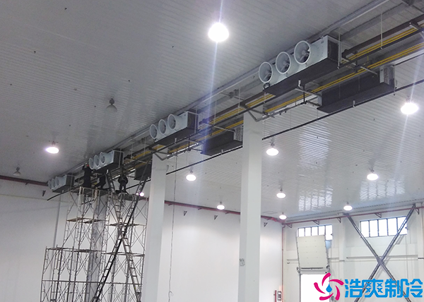  湘西醫(yī)藥冷凍庫(kù)造價(jià)多少錢(qián)一平方？