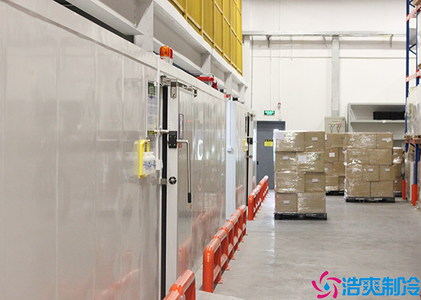  永州藥品冷藏冷庫建設項目有哪些