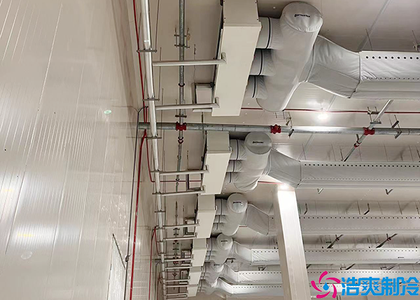  永州藥品冷藏冷庫多少錢一平方？