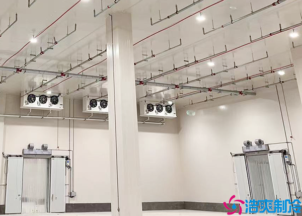  醫(yī)藥冷庫驗(yàn)收流程及標(biāo)準(zhǔn)規(guī)范