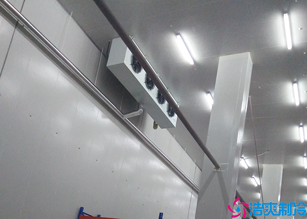  600立方醫(yī)療醫(yī)用冷庫建造價格是多少？