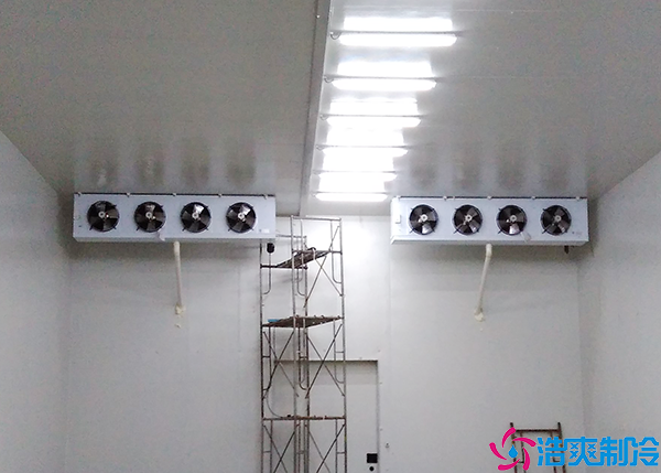  100立方醫(yī)療冷庫(kù)建設(shè)費(fèi)用及要素