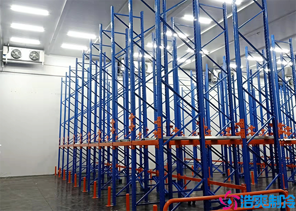 醫(yī)藥冷庫貨架