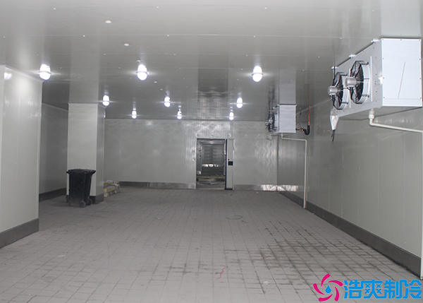 醫(yī)藥冷凍庫