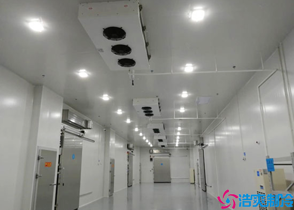  長沙GSP醫(yī)藥冷庫施工方案