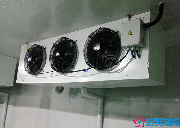  福建血漿冷庫建造需要多少錢？