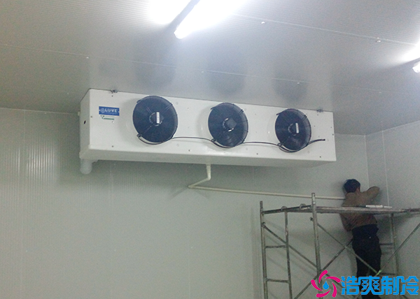  湘西醫(yī)藥冷凍庫保養(yǎng)一次要多少錢？