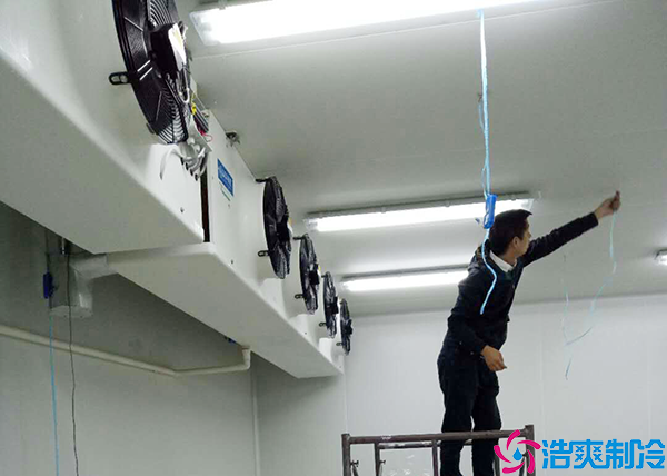 醫(yī)藥冷凍庫