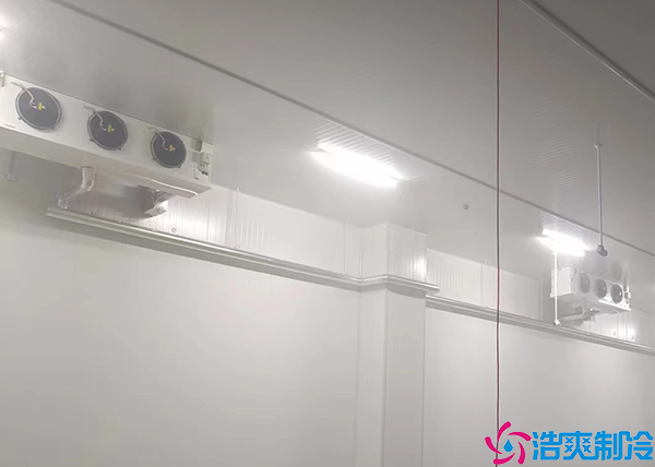  張家界藥品冷藏冷庫施工項(xiàng)目有哪些內(nèi)容？