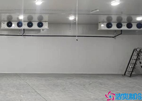 醫(yī)療冷庫(kù)