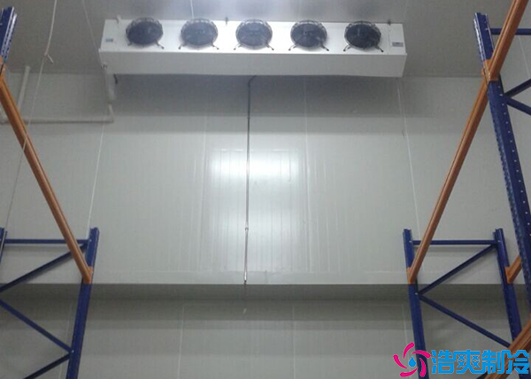  500平生物試劑冷庫建造成本是多少？